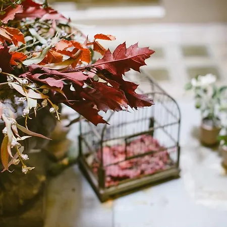 Bed and breakfast Circa 1905 4*