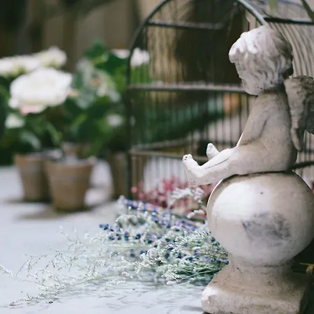 Bed and breakfast Circa 1905 Barcelona