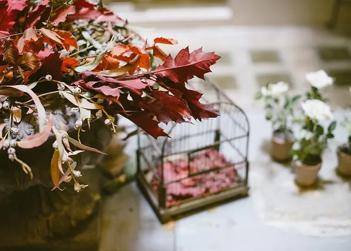 לינה וארוחת בוקר Circa 1905 4*